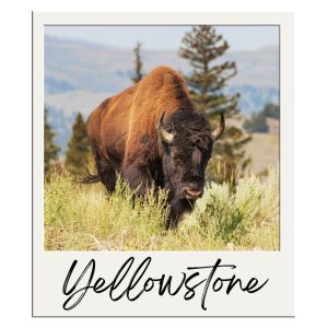 Yellowstone National Park Bouwsteen