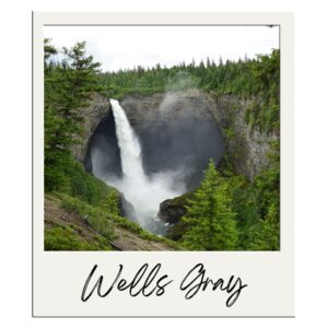 Wells Gray Provincial Park Bouwsteen